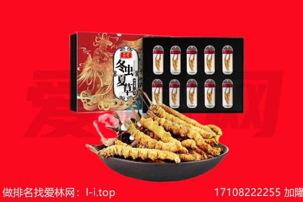 资溪县回收虫草.jpg